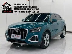 奥迪Q2L 2021款 35 TFSI 进取动感型