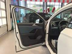 途岳 2024款 300TSI 两驱月尊版