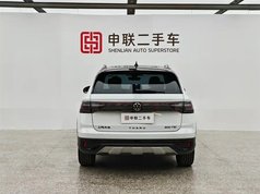 途岳 2024款 300TSI 两驱月尊版