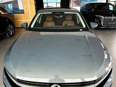 迈腾 2024款 300TSI DSG尊享版显眼包