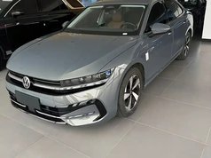 迈腾 2024款 300TSI DSG尊享版显眼包