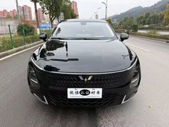 五菱星光 2023款 150 进阶版