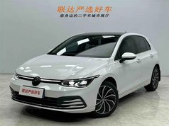 高尔夫 2021款 280TSI DSG 30周年纪念版