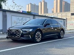 奥迪A6L 2021款 45 TFSI 臻选致雅型
