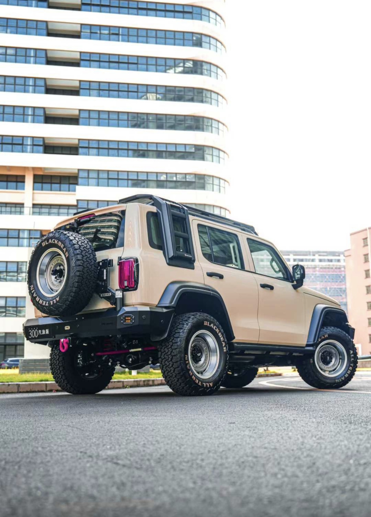 Tank 300 Комплект: экспедиционный багажник + лестница Baja Racing 3