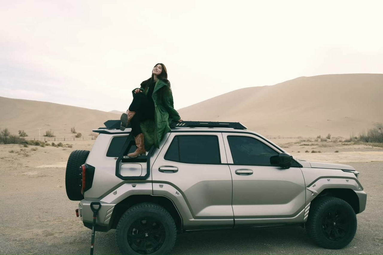 Tank 400 Экспедиционный багажник Meika P3 Хищник 7