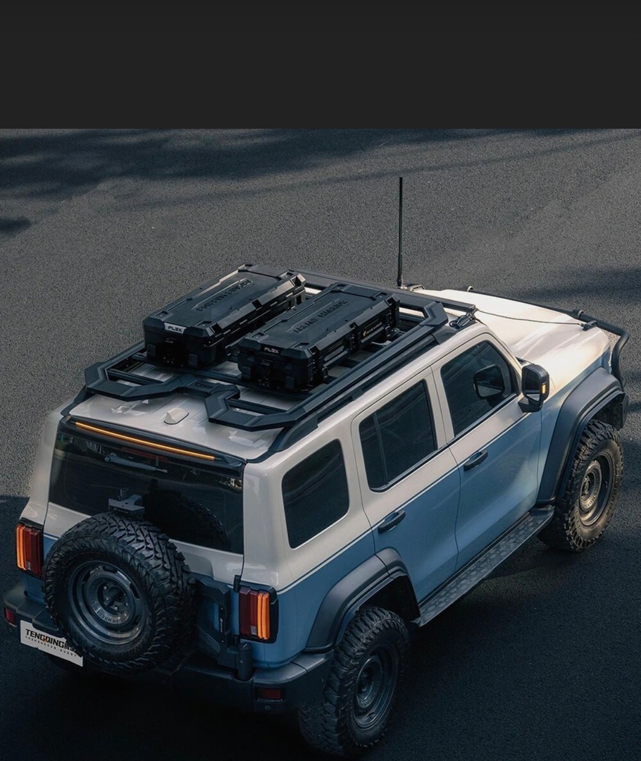 Tank300 Экспедиционный багажник Tengqing усиленный 3