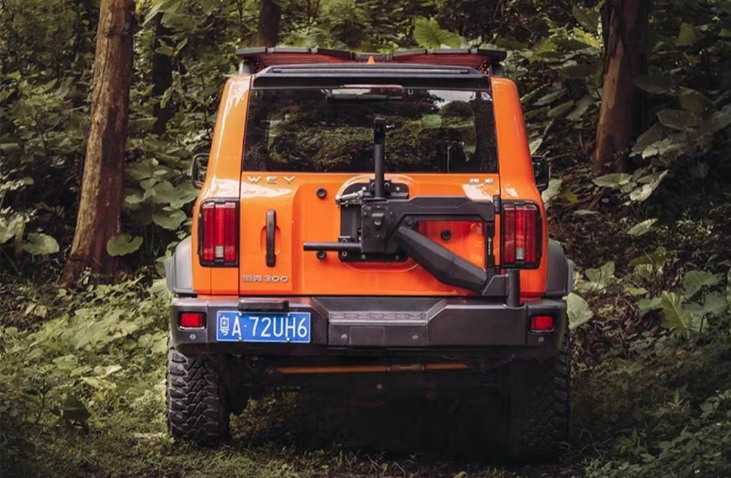 Tank 300 Калитка запасного колеса Tengqing 8