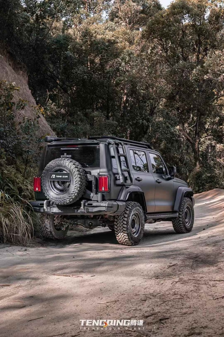 Tank 300 Калитка запасного колеса Tengqing 12