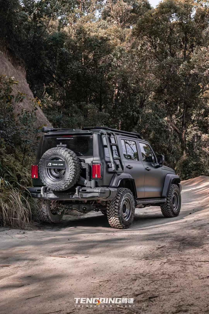 Tank 300 Боковая лестница Tengqing 3