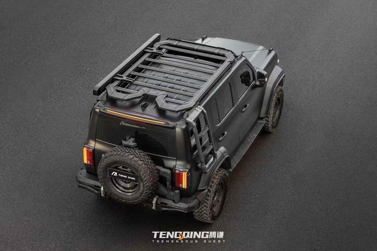 Tank 300 Боковая лестница Tengqing 6