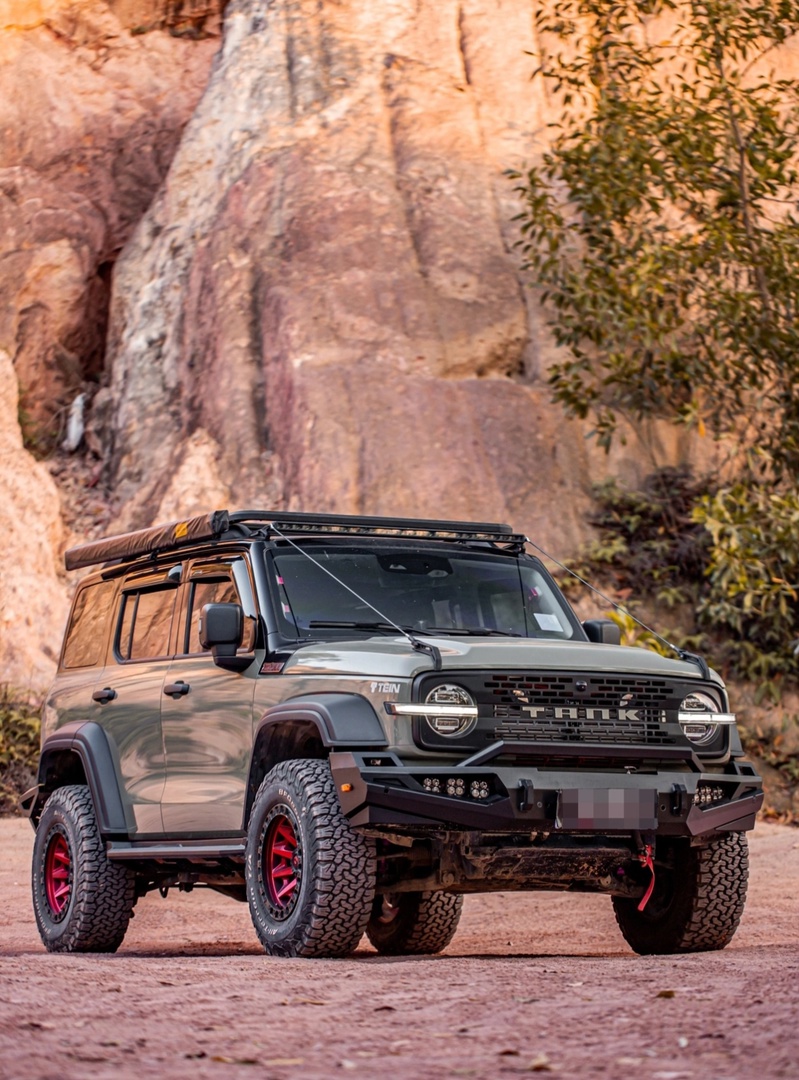 Tank 300 Веткоотбойник Tengqing 8