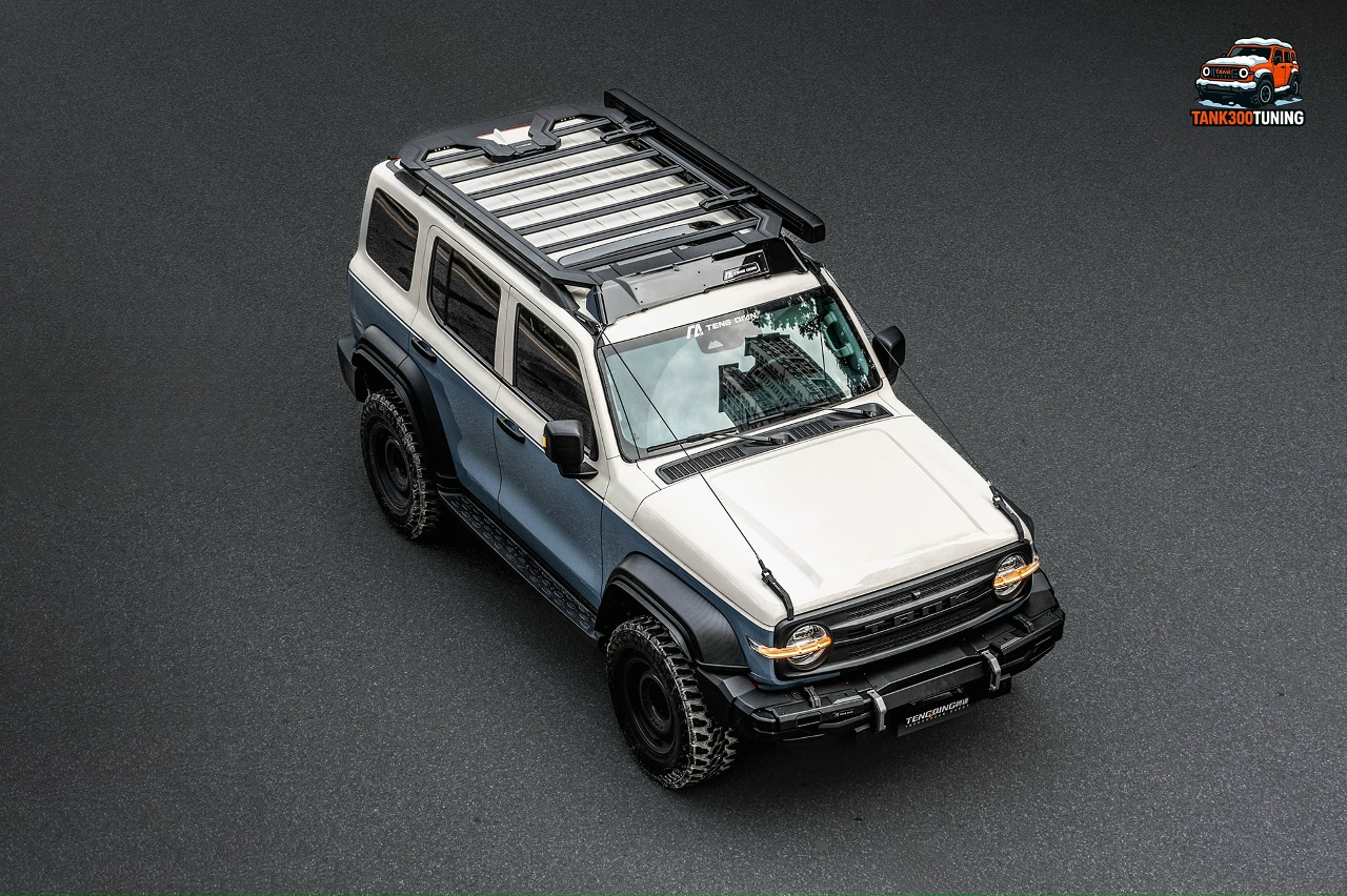 Tank 300 Веткоотбойник Tengqing 10