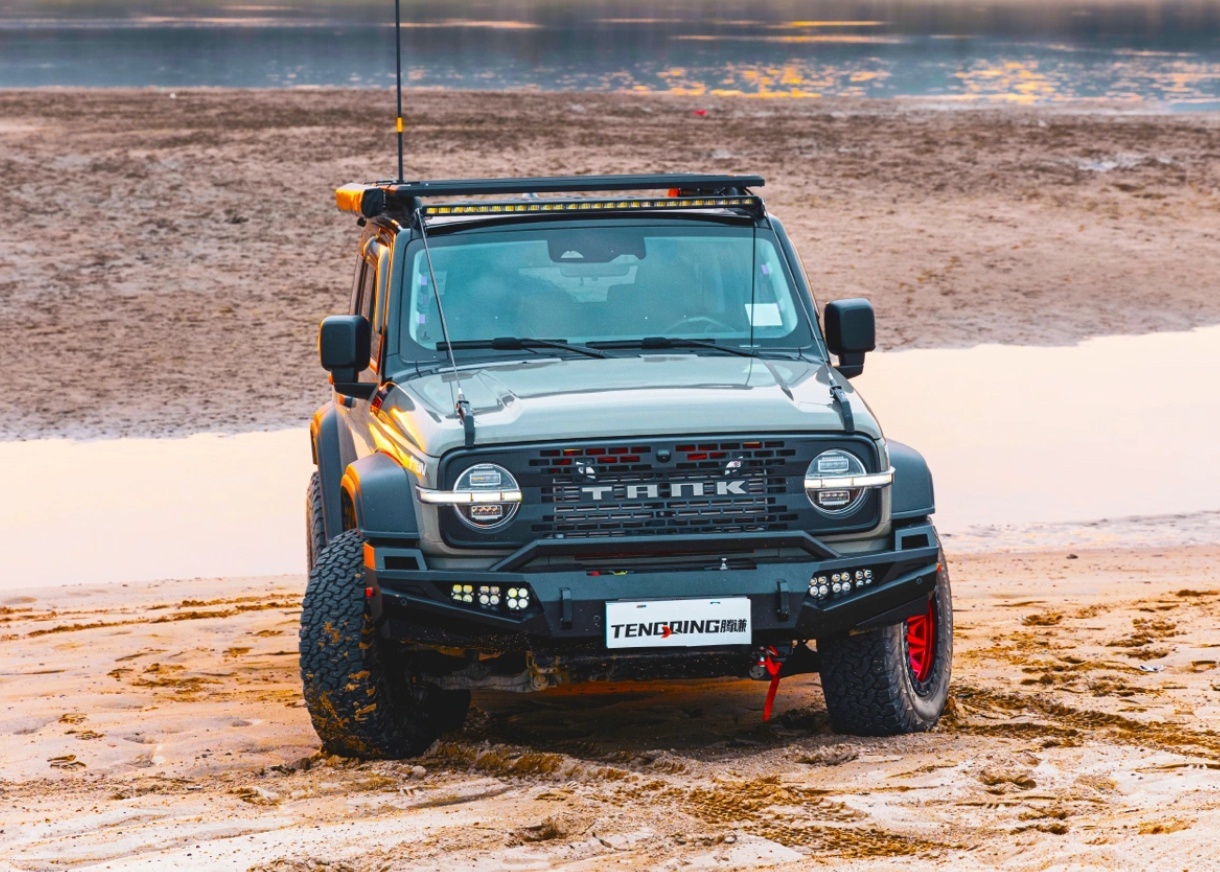 Tank 300 Веткоотбойник Tengqing 11