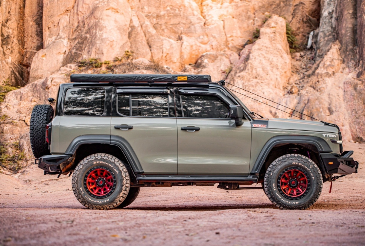 Tank 300 Веткоотбойник Tengqing 12