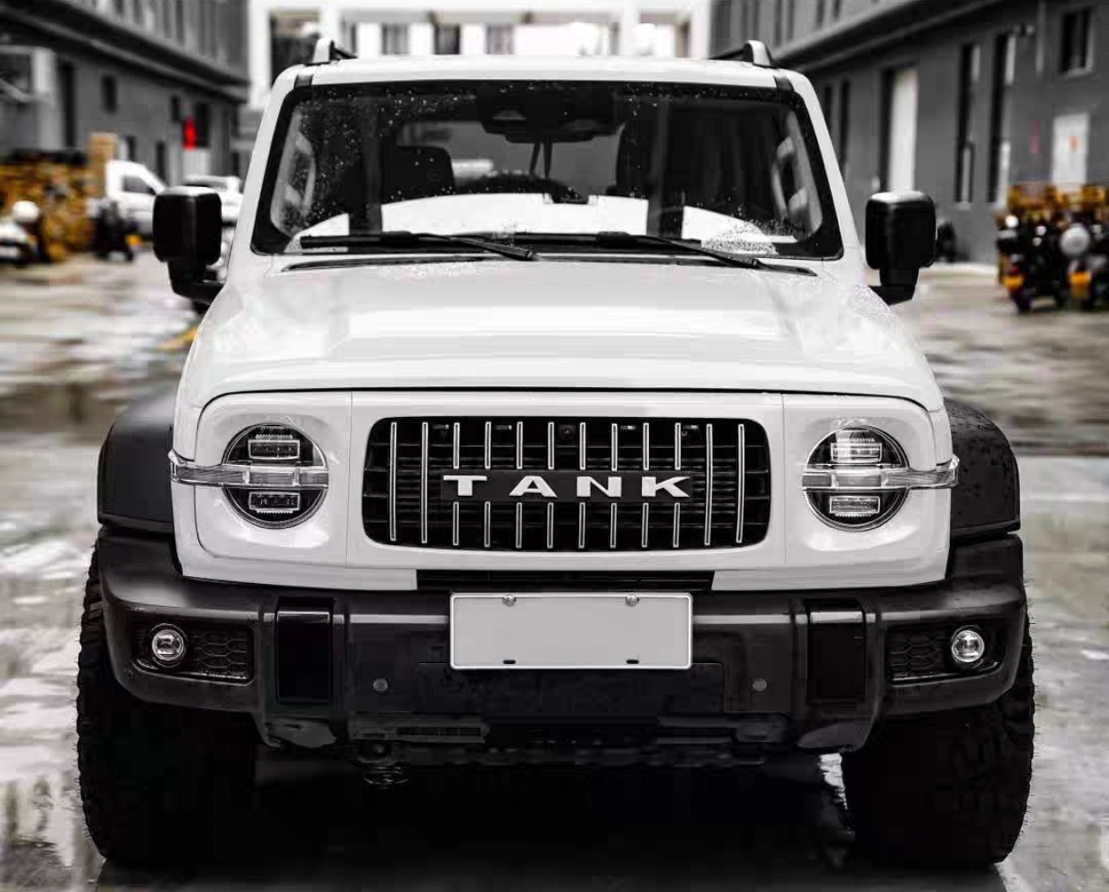 Tank 300 Решетка радиатора 4 диодами MVF GT белая