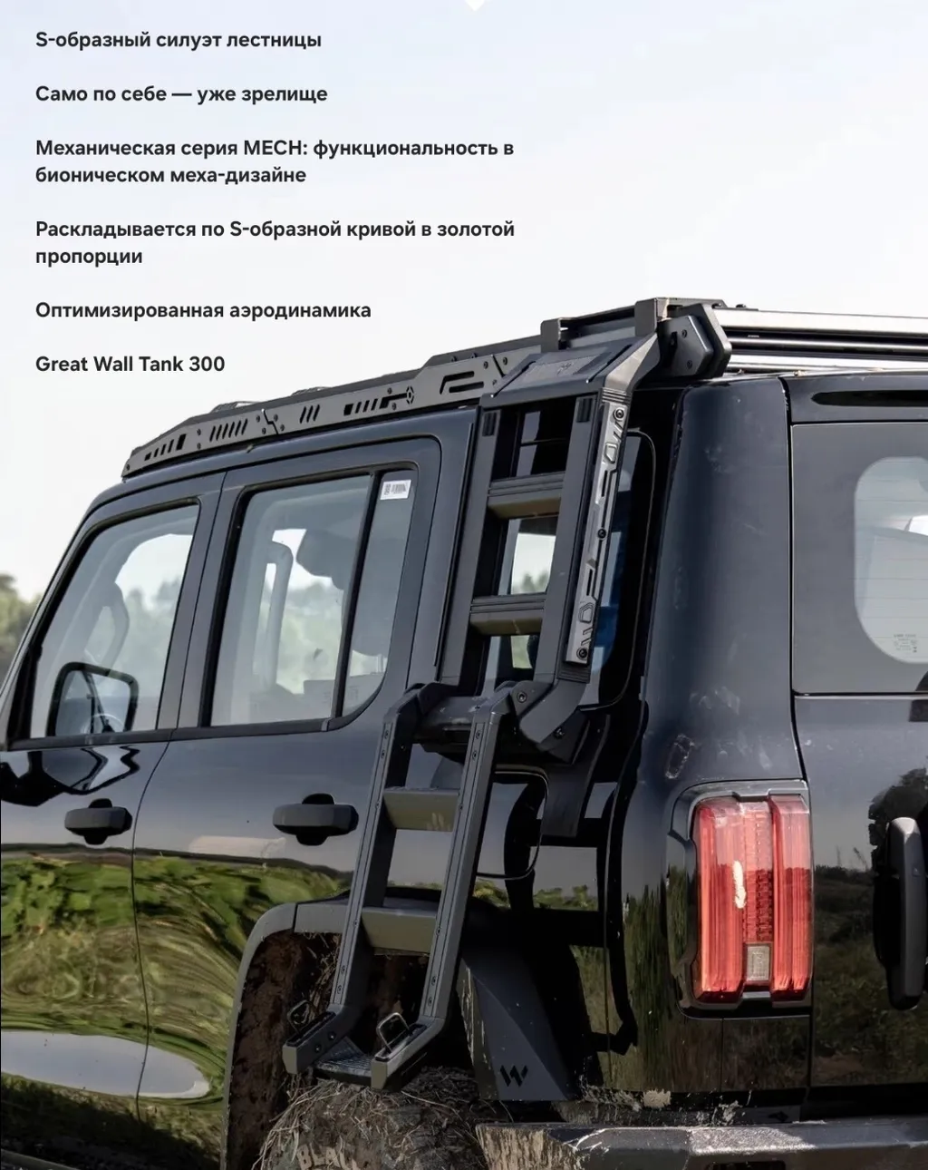 Tank 300 Лестница Winbo mech складывающаяся 4