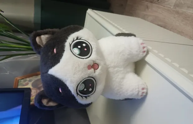 Котёнок с большими глазами