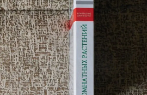Атлас комнатных растений