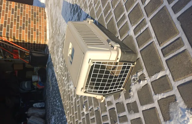 Переноска для кошек и собак