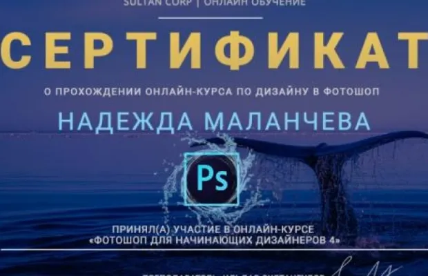 Разработка сайтов