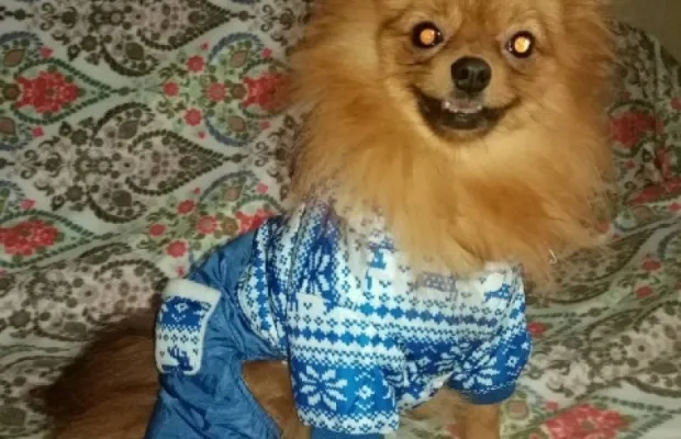 Теплые комбинезоны