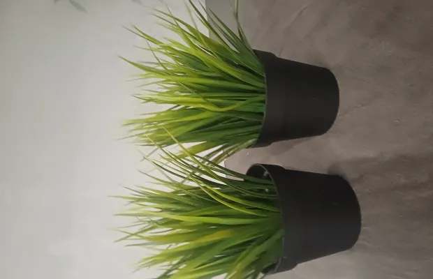 Декоративная трава в стакане