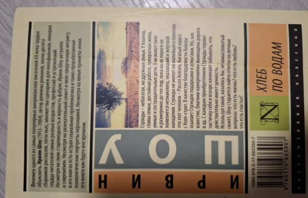 Книга И.Шоу "Хлеб по водам"