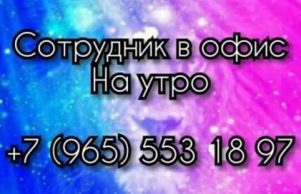 Сотрудник на утро