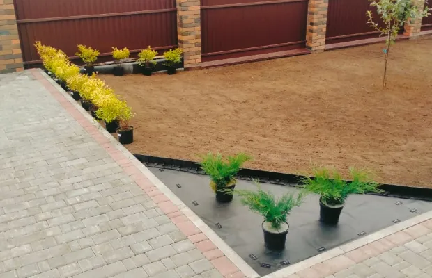 Устройство газона