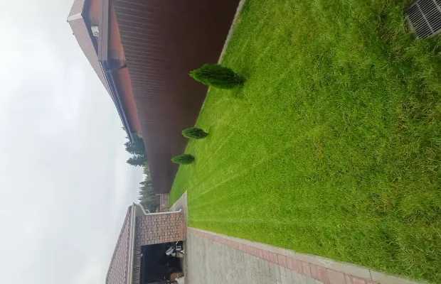 Устройство газона