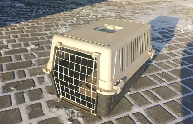 Переноска для кошек и маленьких собак