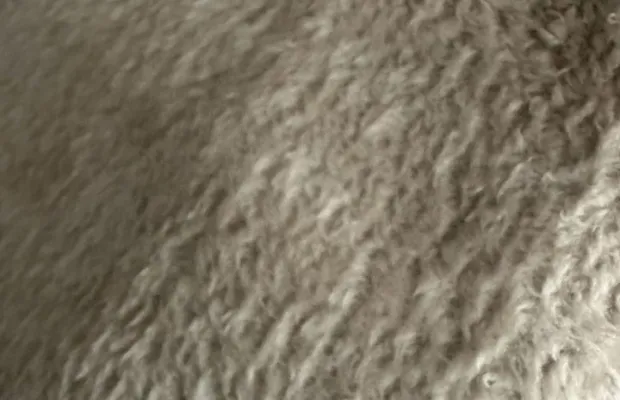 Искусственный мех бежевый