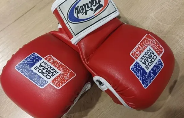 Перчатки по ММА