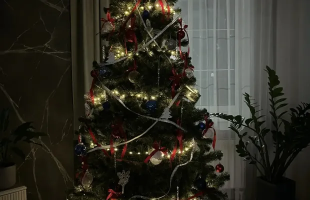 Ёлка новогодняя