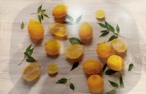 Пластинк для еды