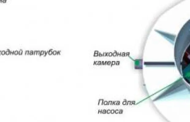 Септики