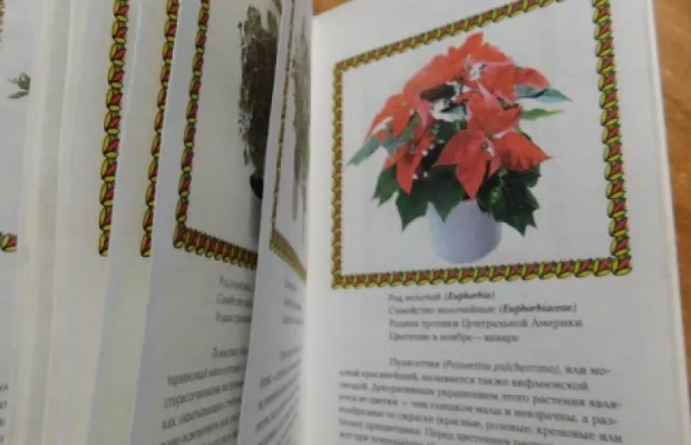 Книга - Комнатные растения