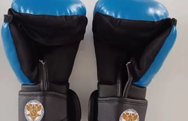 Перчатки по рукопашному бою 10 унций