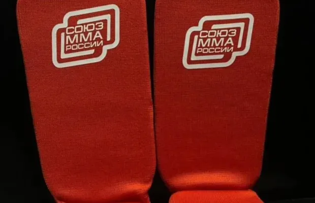 Защита голени по ММА