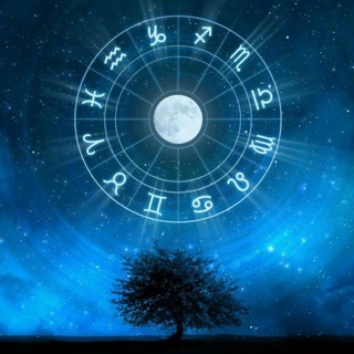 Telegram Channel logo ourstarsx. Free Telegram Channel Analytics