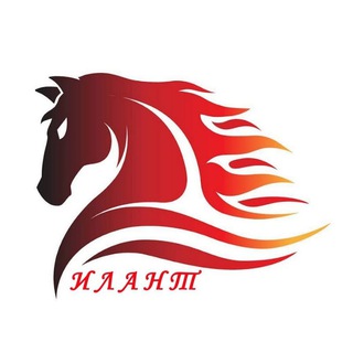 Telegram Channel logo ILANT38. Free Telegram Channel Analytics