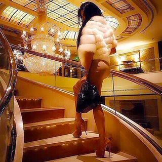 Telegram Channel logo sgvnova. Free Telegram Channel Analytics