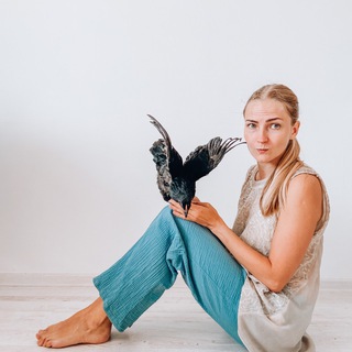 Логотип Телеграм канала . Бесплатная аналитика Telegram каналов