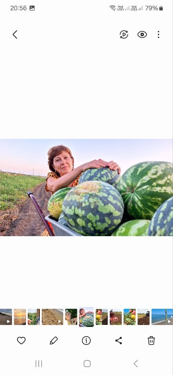 Telegram Channel logo b6qy3mp-ecclas7ajztciwomzu0ziz2iwl3d1sjhloi. Free Telegram Channel Analytics