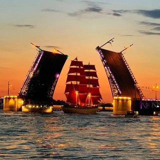 Telegram Channel logo spb24live. Free Telegram Channel Analytics