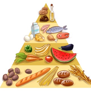 Telegram Channel logo goodfood_shpargalki. Free Telegram Channel Analytics