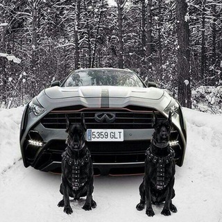 Telegram Channel logo avto_rf_r. Free Telegram Channel Analytics