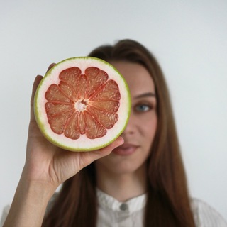 Логотип Телеграм канала . Бесплатная аналитика Telegram каналов