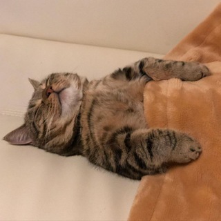 Логотип Телеграм канала +FGPDGDfSf5M3OTcy. Бесплатная аналитика Telegram каналов